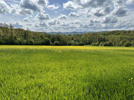Fotografia z Robert Kremlicka na trase