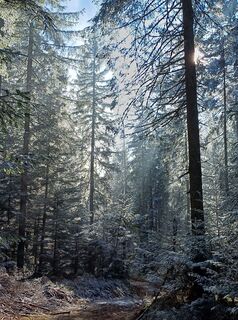 Foto de Heimo widmoser a lo largo del recorrido