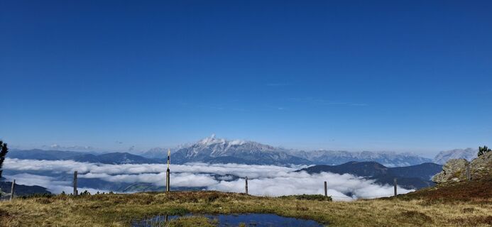 Foto von Wallner Sylvia entlang der Tour