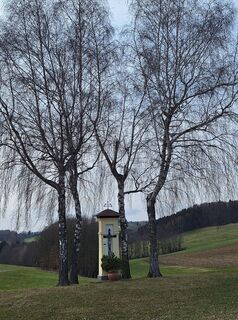 Foto von Mimi entlang der Tour