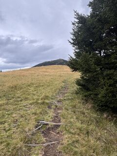 Foto von Benediktus_prim entlang der Tour