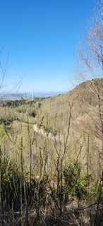 Foto von helga-k entlang der Tour