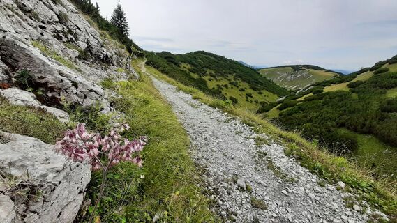 Fotografija s spletne strani Aga M na poti