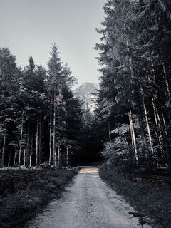 Fotografia z Christian Zingler na trase