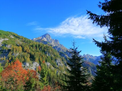 Bild 0