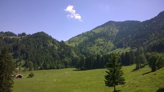 Doag`l Alm