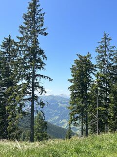 Fotografija s spletne strani Mieke Seys na poti