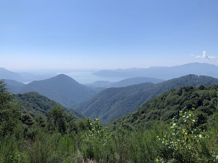 Fotó a Koen De Wit honlapról a túra során