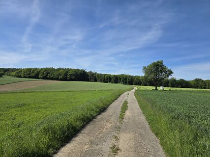 Fotografija s spletne strani F R 1 na poti