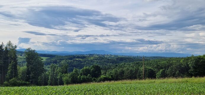 Fotografia z Utassy Tóth Johanna na trase