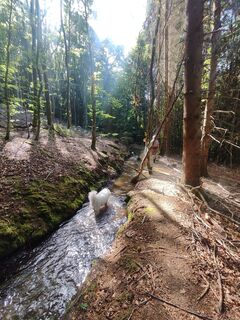 Foto von Sonja Herdeg entlang der Tour