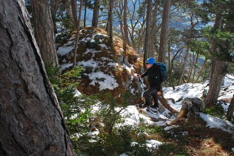 Mittagstein – Knofeleben – Wasserleitungsweg