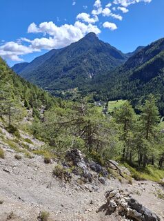 Photo de Mart 1 le long du parcours