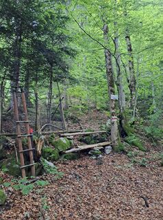 Foto de Greg+Lisa a lo largo del recorrido