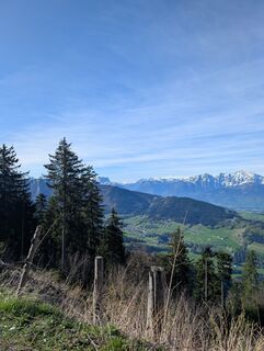 Kuva osoitteesta SFK matkan varrella