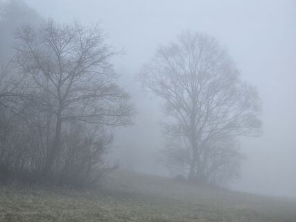 Foto von TwilightTea entlang der Tour
