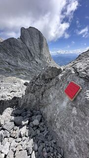 Photo de Mountain Cat ? ⛰️ le long du parcours
