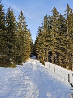 Foto von Ingrid H entlang der Tour