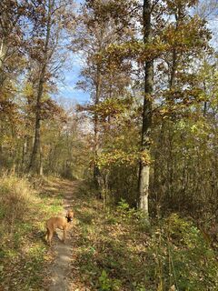 Zdjęcie z Bence Nádudvari wzdłuż trasy