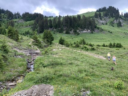 Fotografia z Koen De Wit na trase