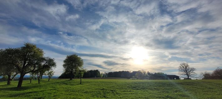 Foto från Herbert Wesely under resans gång