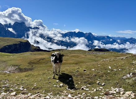 Foto von Irene Duitshof entlang der Tour