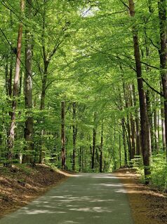 Fotografija s spletne strani Jürgen Fuchsberger na poti