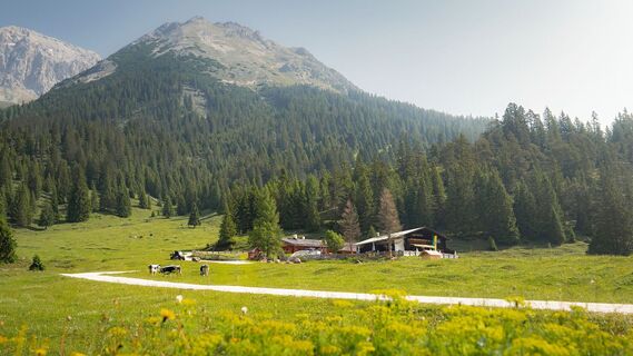 Gaistalalm im Sommer