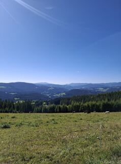 Foto von Andreas Pöttler entlang der Tour