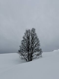 Fotografie z Guillaume Condat na trase