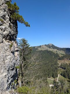Fotografia z Carsten Holzhauer na trase