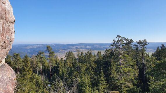 Ausblick Langer Berg zum Rennsteig