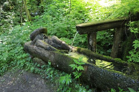 Brunnen