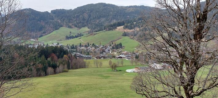 Photo de Waldfred le long du parcours