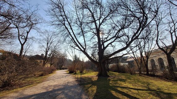 Фото с сайта Regina Fleischmann во время экскурсии