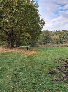 Foto von Schlossgeist73 entlang der Tour