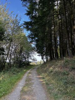 Fotografia z Jan Düber na trase