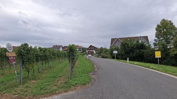 Foto de Meislero a lo largo del recorrido
