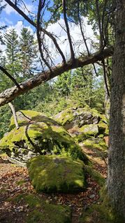 Photo de Fuchs Irene le long du parcours