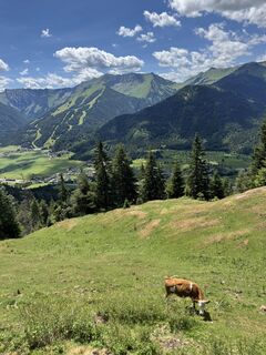 Foto von Rebeka Szabó 2 entlang der Tour