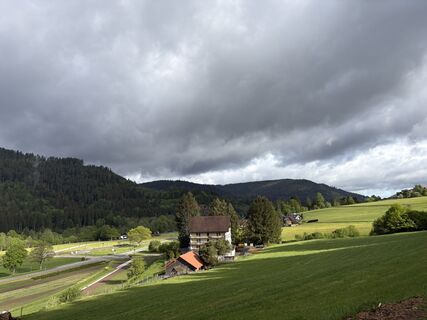 Fotografie z Bernhard Greve na trase