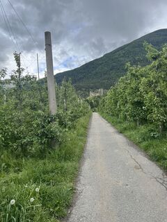 Foto från Peter Schäfer under resans gång