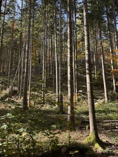Fotografie z Thomas Offner na trase