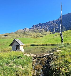 Fotó a Veronika Strauss honlapról a túra során
