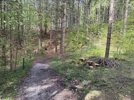 Photo de Similaun le long du parcours