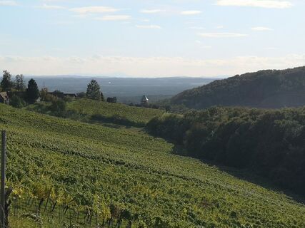 Photo de Peter Bacher le long du parcours