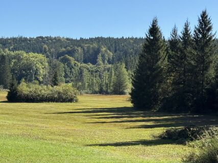 Foto von Denise Miller entlang der Tour