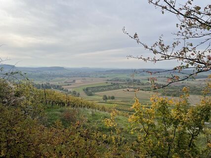 Fotografia z Ralf Umminger na trase