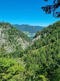 Photo de Torsten Eder le long du parcours