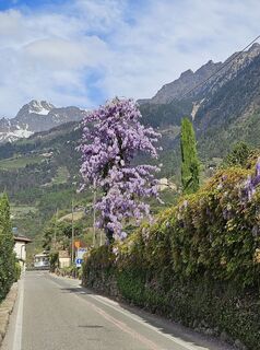 Photo de rgcl le long du parcours